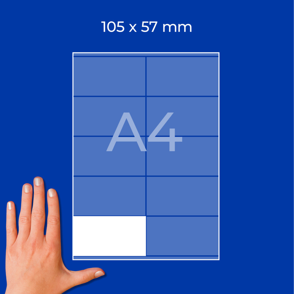 poster, grid, blau, A4, hand