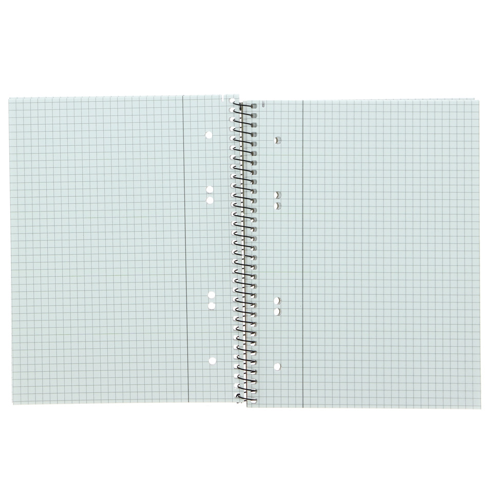 spiral notebook, grid notebook, lined paper, Löcher punched, offenes Notizbuch