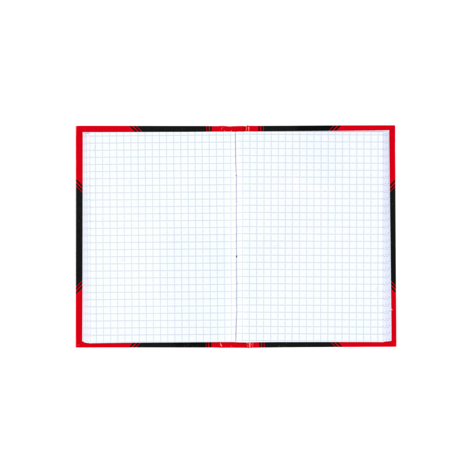 Notizblock, Rasterpapier, Gitterpapier, offenes Notizbuch, rote Randkante