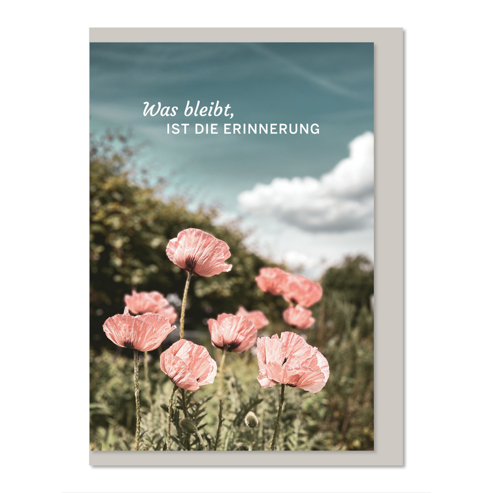 Mohnblumen, Blumenfeld, Natur, Pflanzen, Wetterhimmel