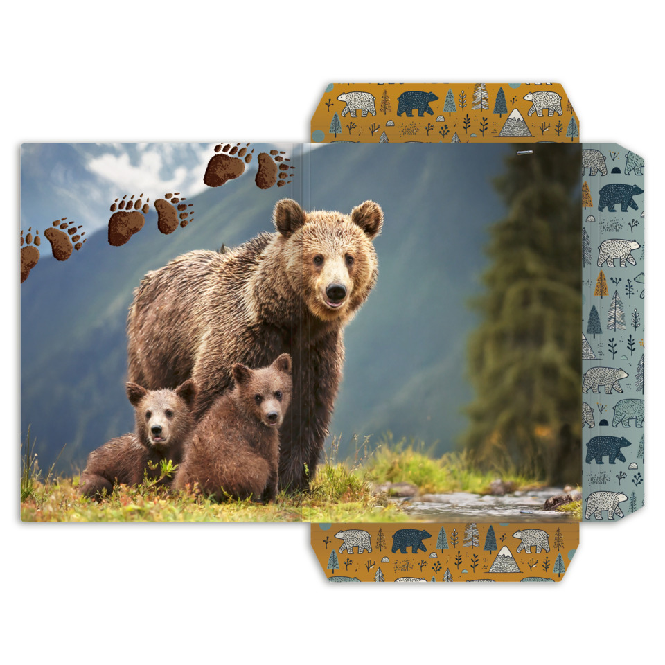 Bär, Elterliches Muttertier, Bärenmutter, Bärenjunge, Natur, Wald, Tierfamilie, Fell