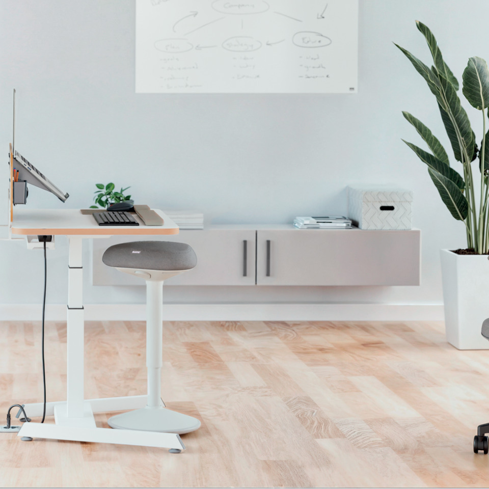 Schreibtisch, Mobiliar, Tabelle, Pflanze, Stehpult