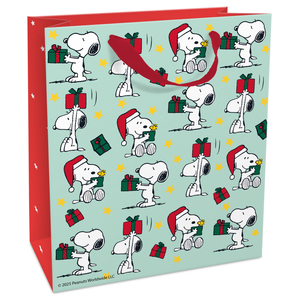 Geschenkverpackung, Snoopy, Weihnachten, Weihnachtsmann, Geschenk