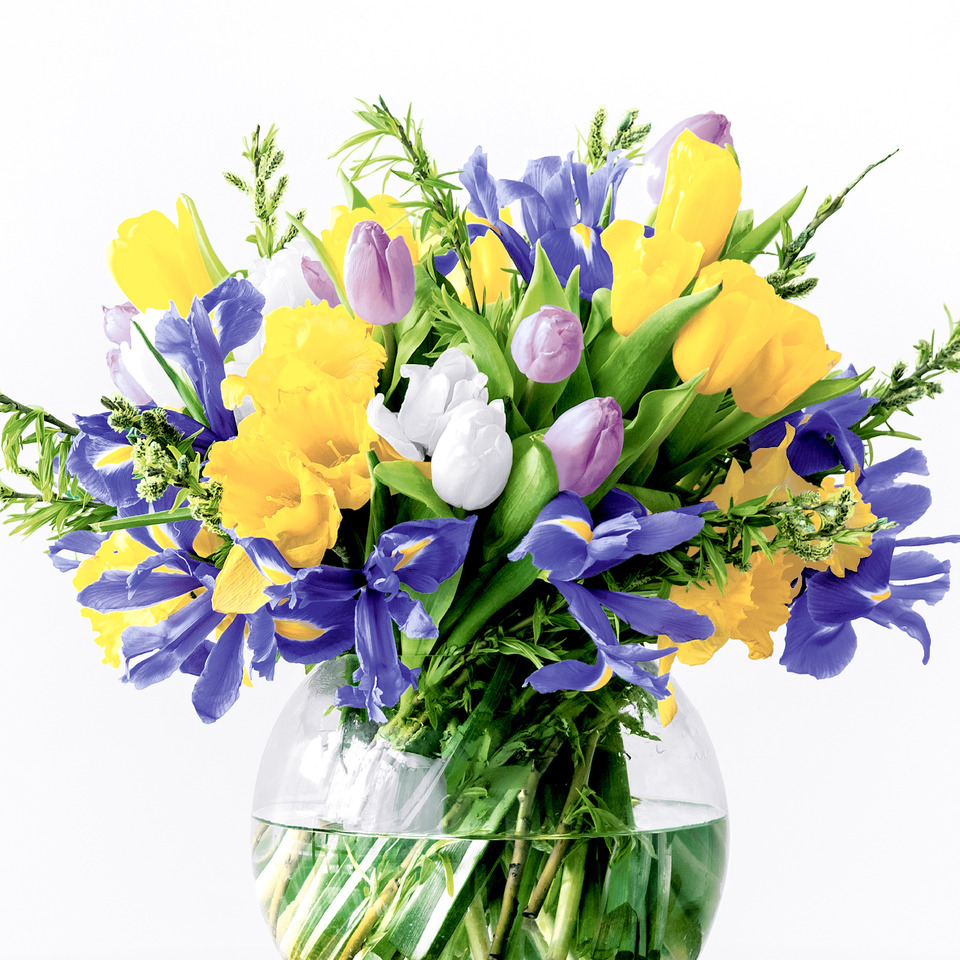Blumenstrauß, Tulpen, Iris, Gelb, Vase
