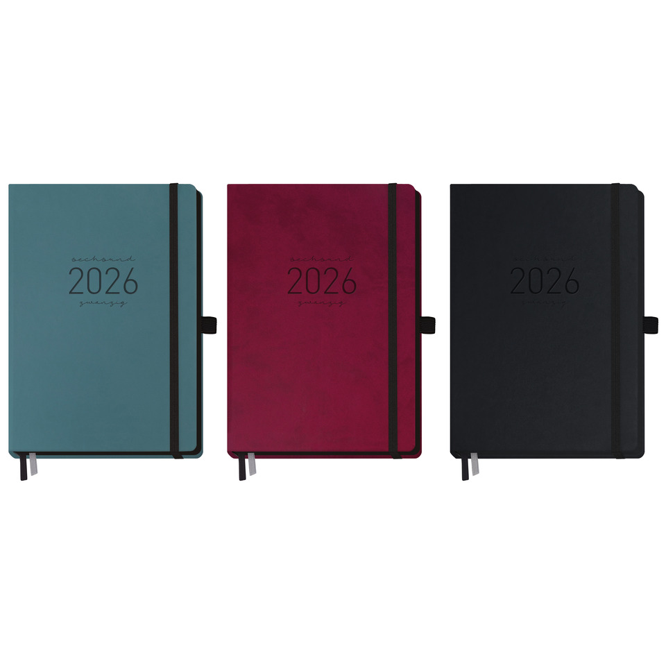 Tagebuch, Elektronik, Tagebuch