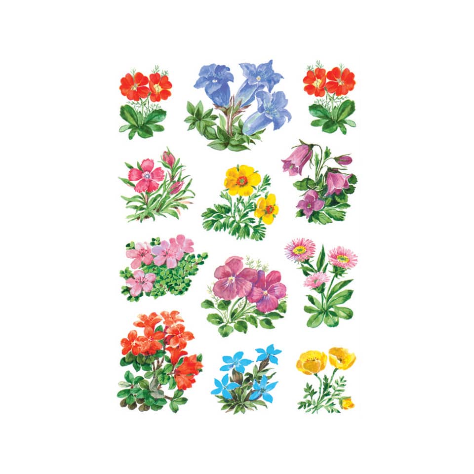 Blumen, Blumenpflanzen, Pflanzenaufkleber, Florale Muster, Botanische Illustrationen