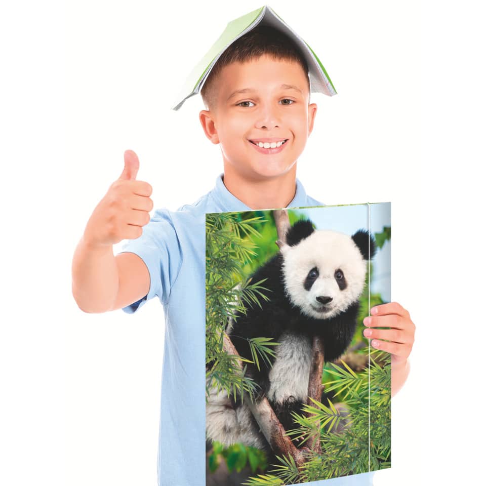 Panda, Panda_Accessory, Poster, Kinder, Bambus