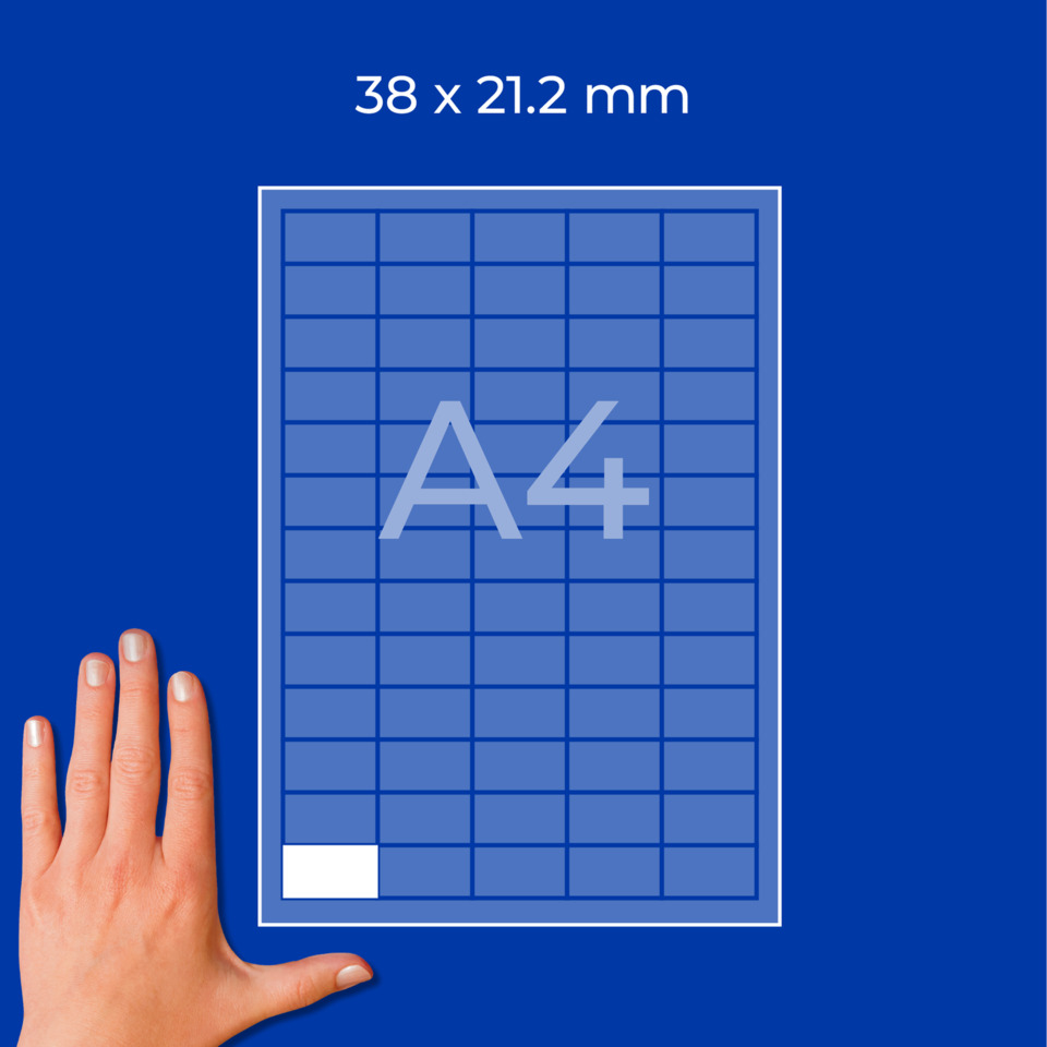 A4, Papiergröße, Raster, weißes Rechteck, Hand