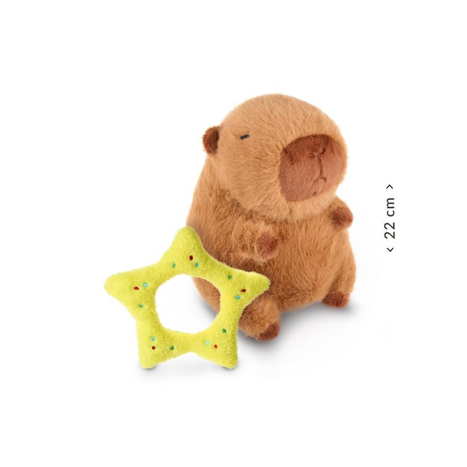 Plüsch, Spielzeug, Bär, Säugetier, Tierwelt
