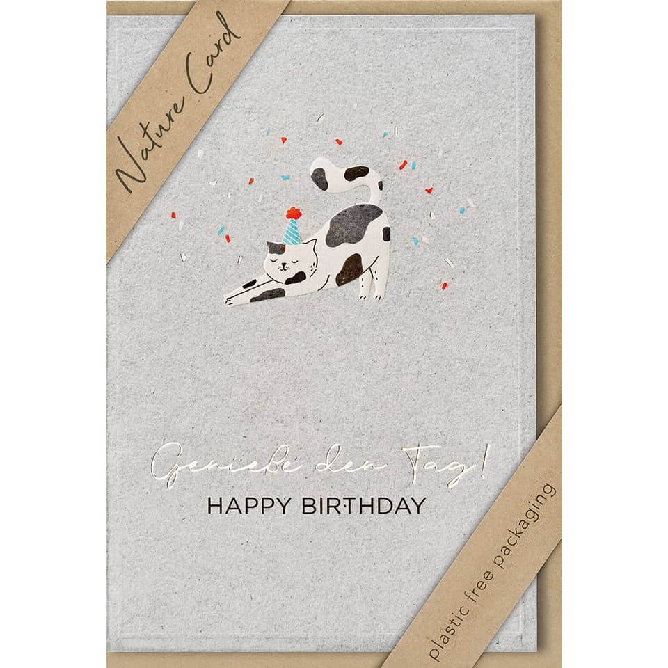 Geburtstagskarte, Katzenillustration, Konfetti, graue Karte, Partyhut