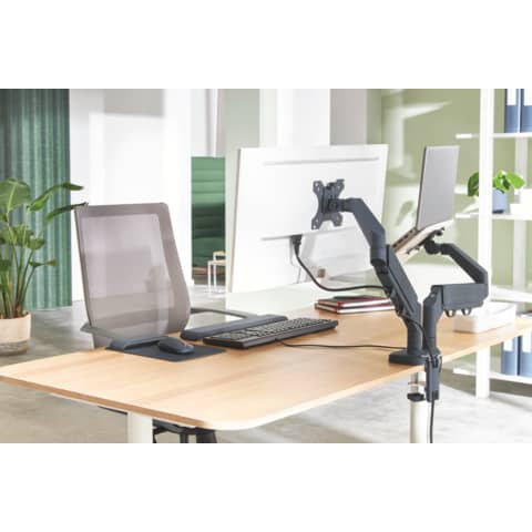Moebel, Tabelle, Schreibtisch, Pflanze, Computer-Tastatur