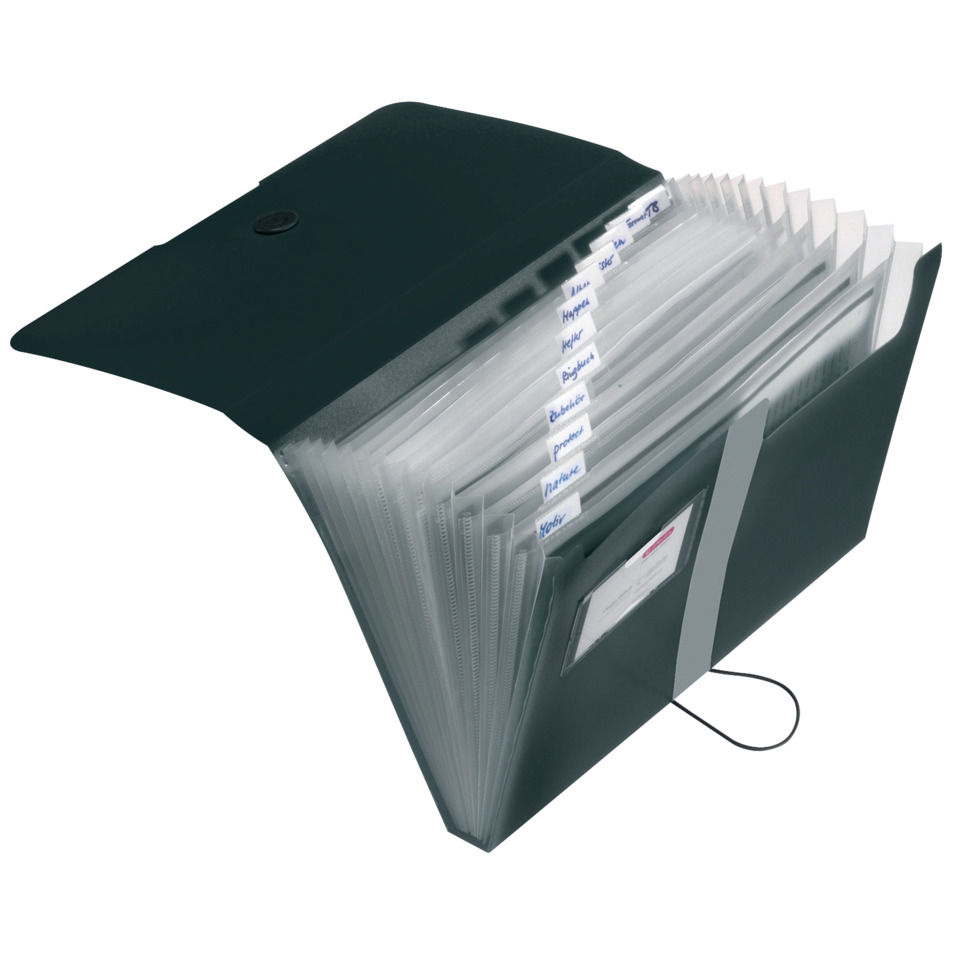 A4-Datei-Organisator, Akkordeon-Ordner, Kunststoff-Trenner, Index-Reiter, Büro-Ordner, Aktenordner, Dateiablage, Ordner mit Falttaschen, Ablagesystem, Schwarz
