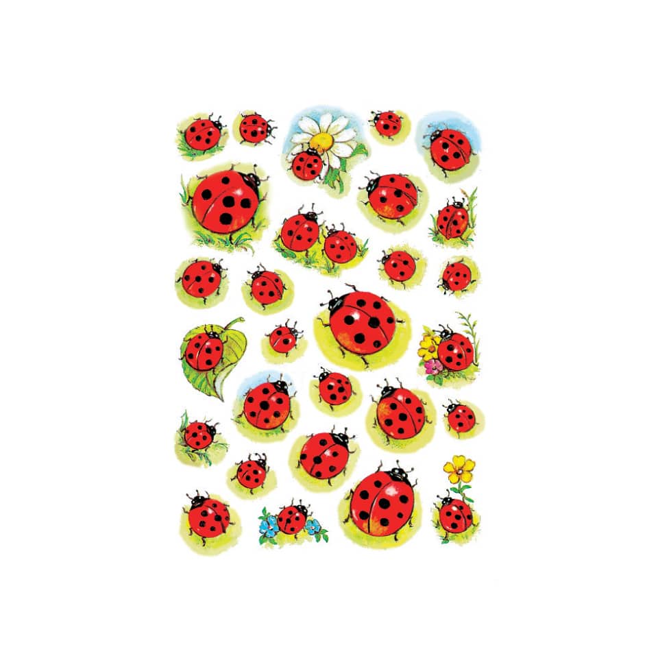 Marienkäfer, Hintergrundbild, Wichtelblume, Tierchen, Käfer Muster