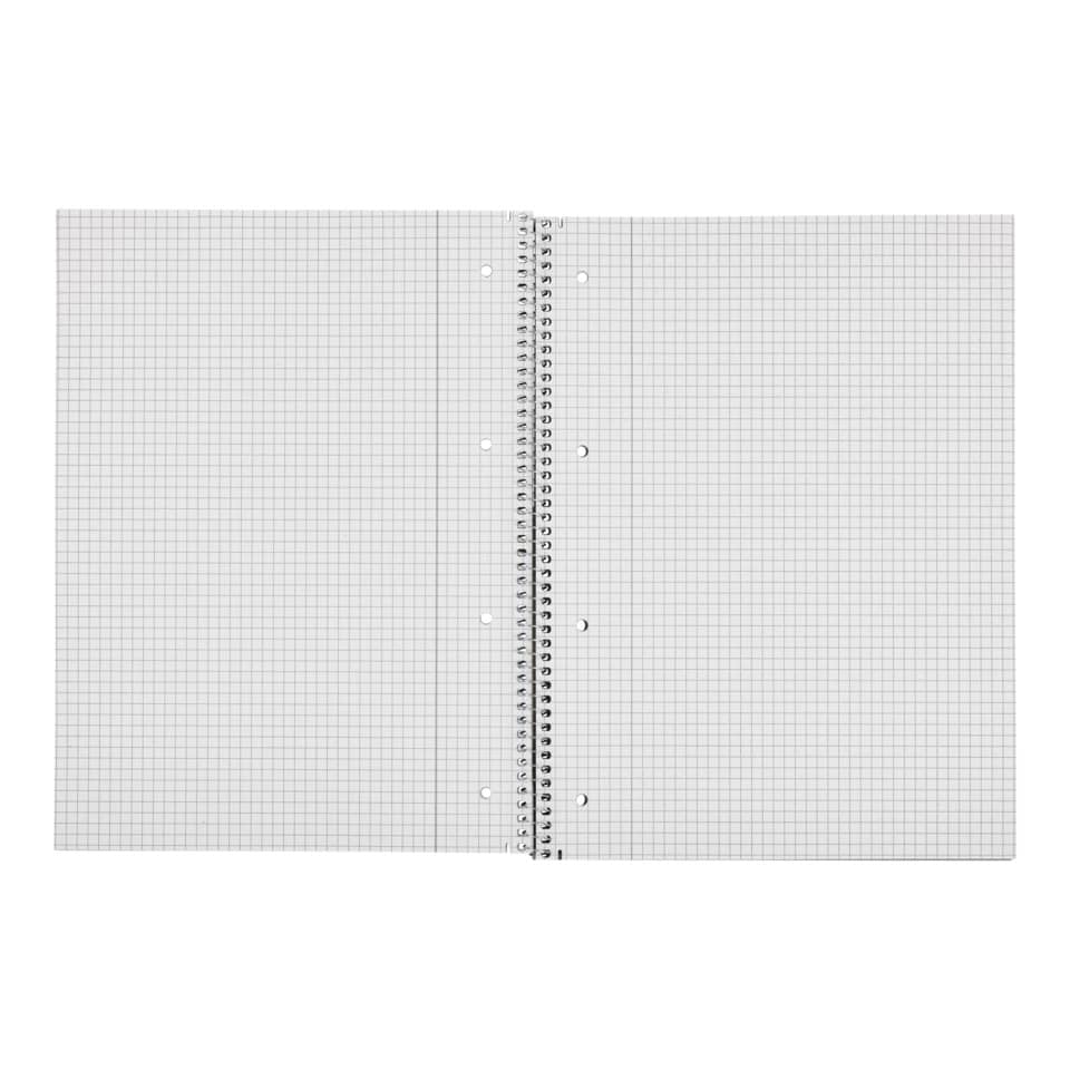 lineal grid, spiral notebook, hole punched, ruled grid, double page
