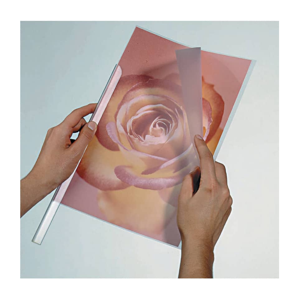 Rose, Druck, Poster, Papier, Hände halten