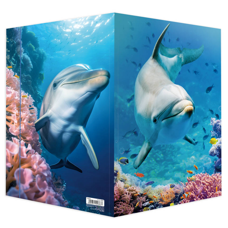 Meeresleben, Delfin, Unterwasserwelt, Korallenriff, Foto-Druck