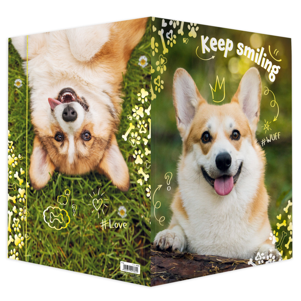 Hund, Collage, Gras, Zunge, Smile