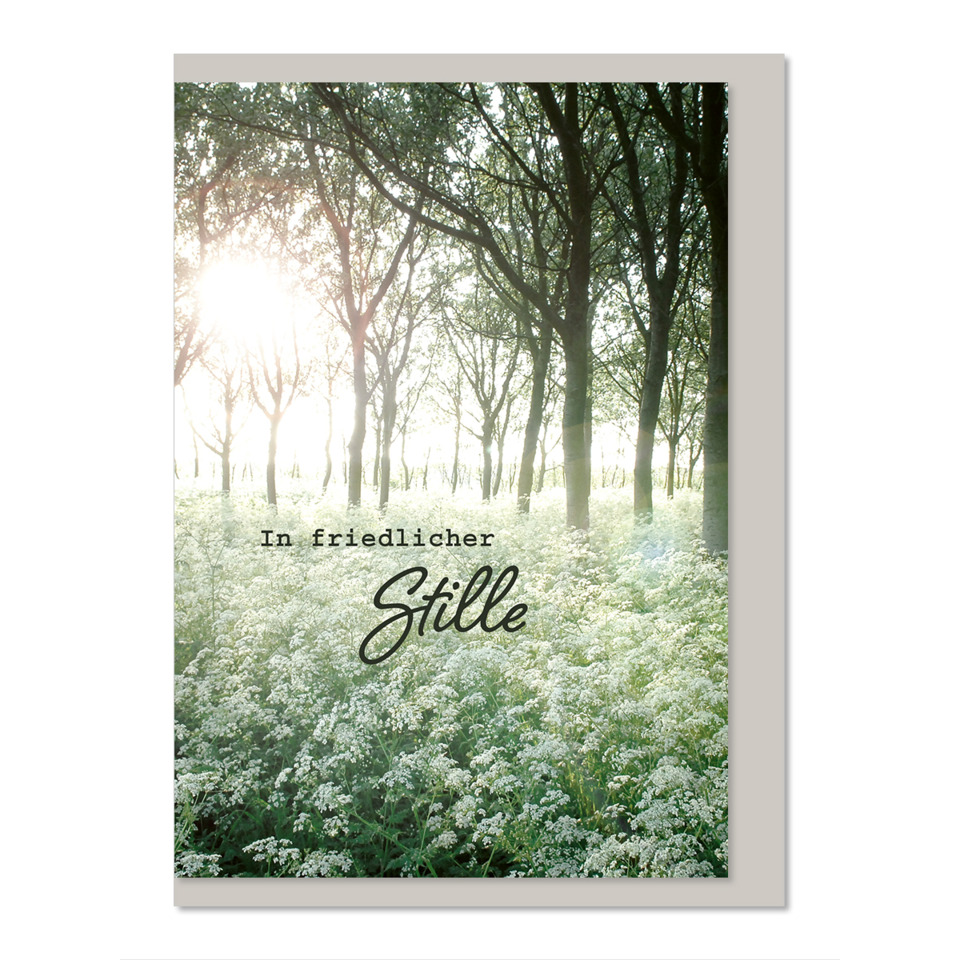 Wald, Sonnenlicht, Blumen, Wälder, Frieden