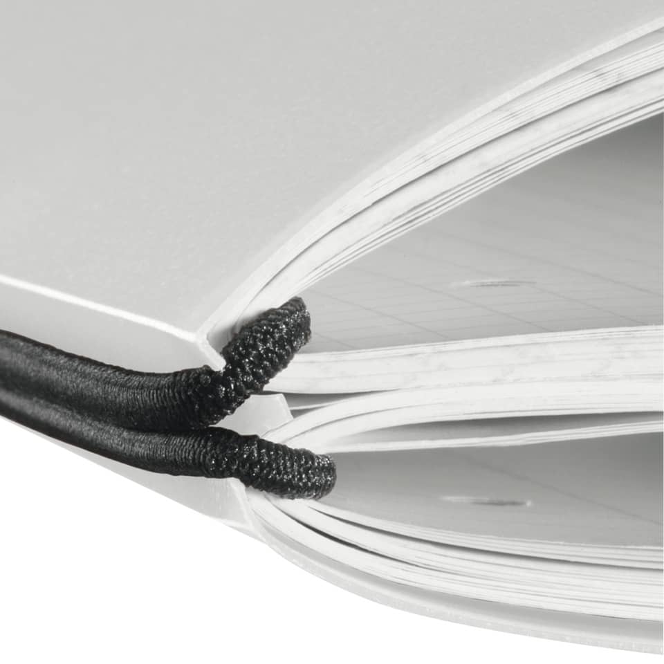 Buch, Veröffentlichung