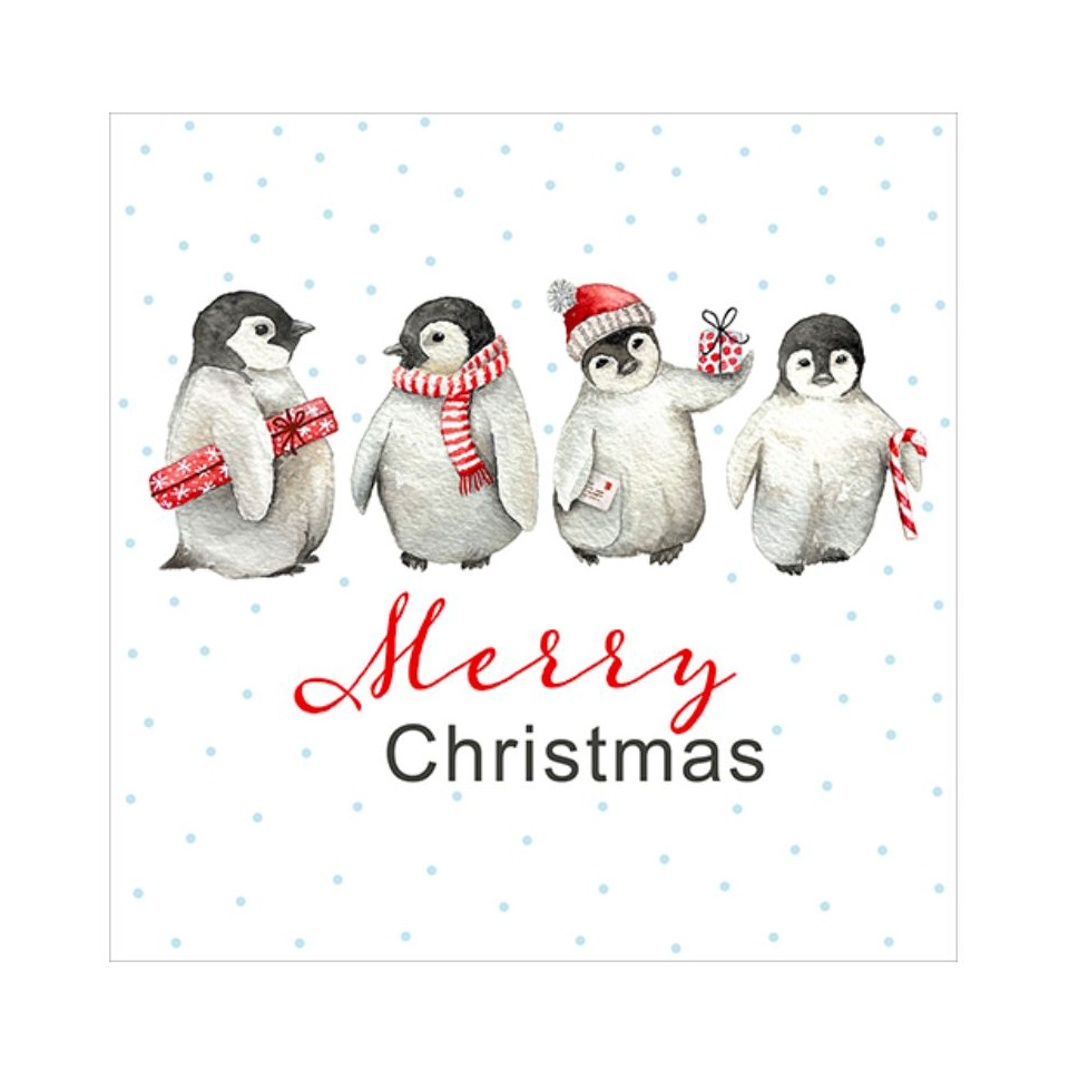 Tier, Vogel, Tier, Vogel, Pinguin