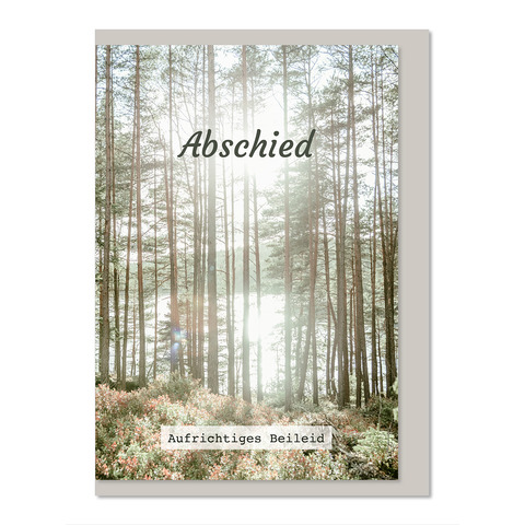 Hain, Land, Baum, Vegetation, Wald