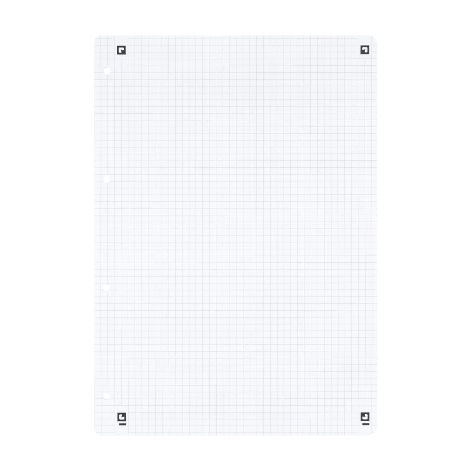 Notizblock, Gitterpapier, Rasterschrift, Lochung, Transparente Rasterfläche