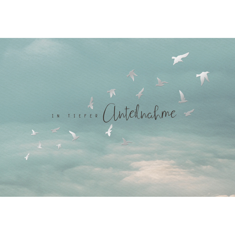 flügelvögel, himmel, wolken, silhouette, schriftzug Antteilnahme