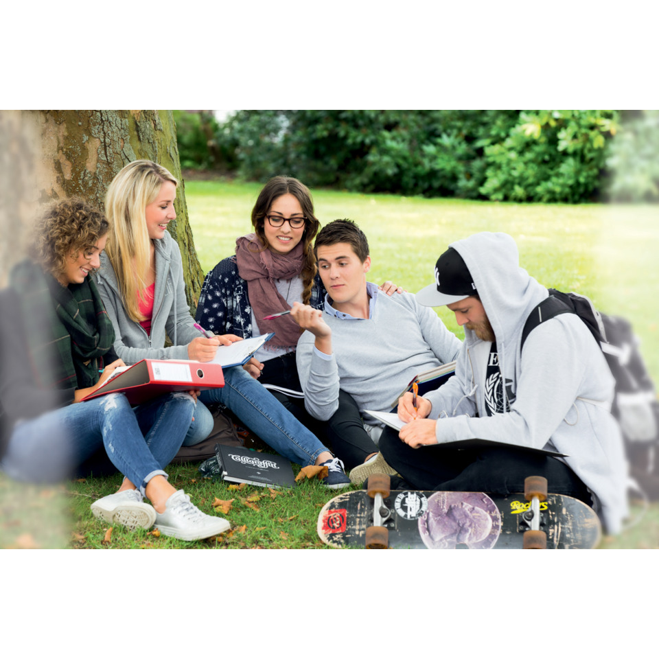 Gruppe im Park, Schulfreunde, Skateboard-Teile, Notizbuch, Rucksack