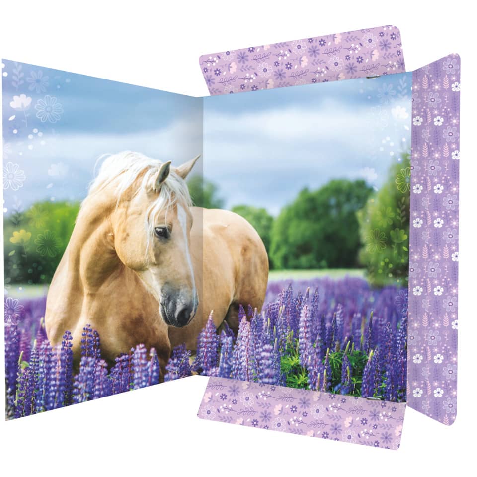 Pferd, Lila Feldblumen, Lavendel, Natur