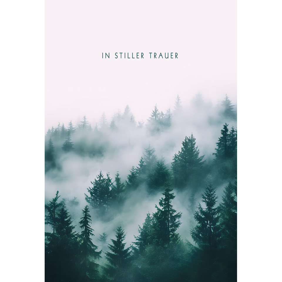 Nebelwald, Wald, Tannen, Fichte, Bergnebel