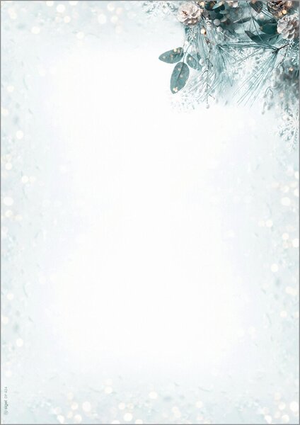Weihnachts-Motiv-Papier, Eucalyptus magic, 90g/qm, DIN A4, 100 Blatt