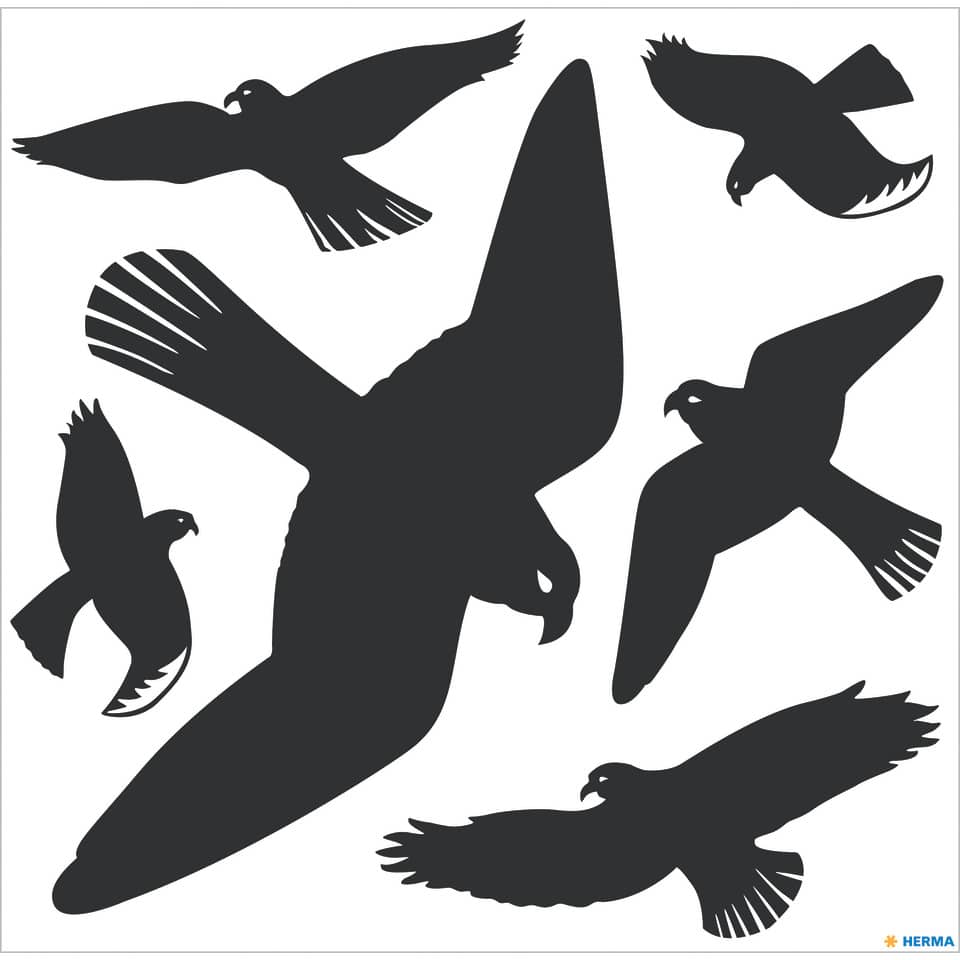 Silhouette, Tier, Vogel, Fliegend, Amsel