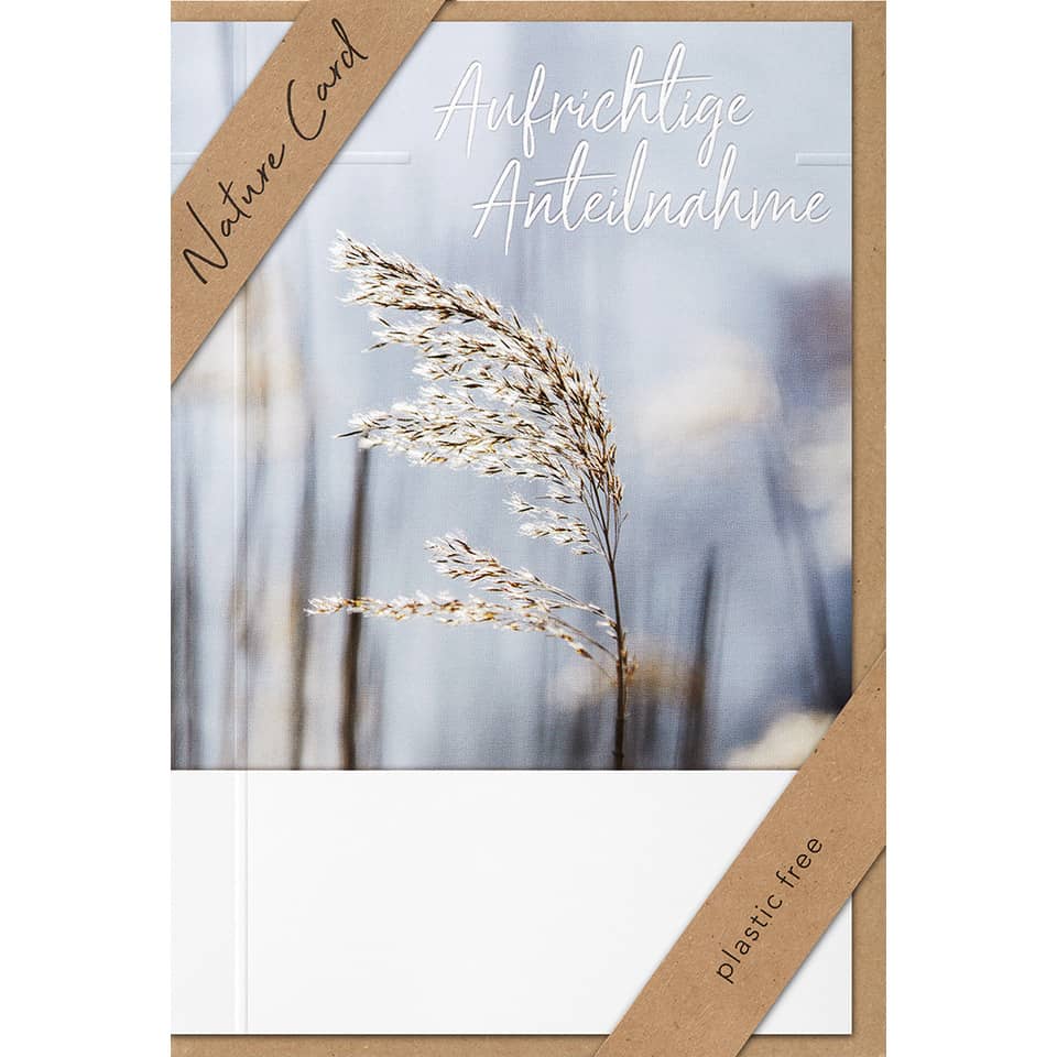 Pflanze, Schilf, Gras