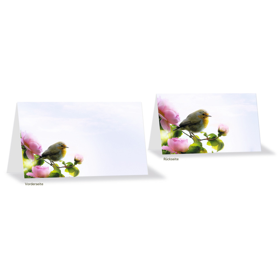 Vorderseite, Vogel, Rose, Blumenzweig, Papageienfeder?