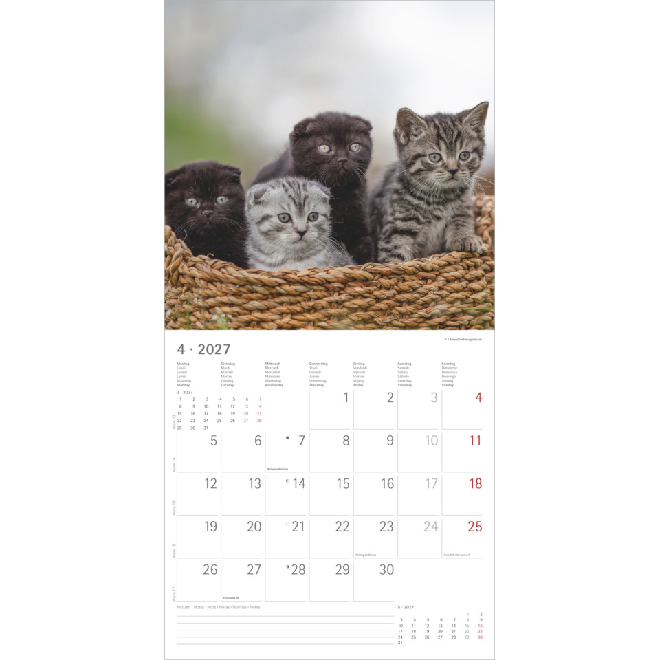 Katzenkinder, Korb, Federkörbe, Dekor Kalender, Monatskalender