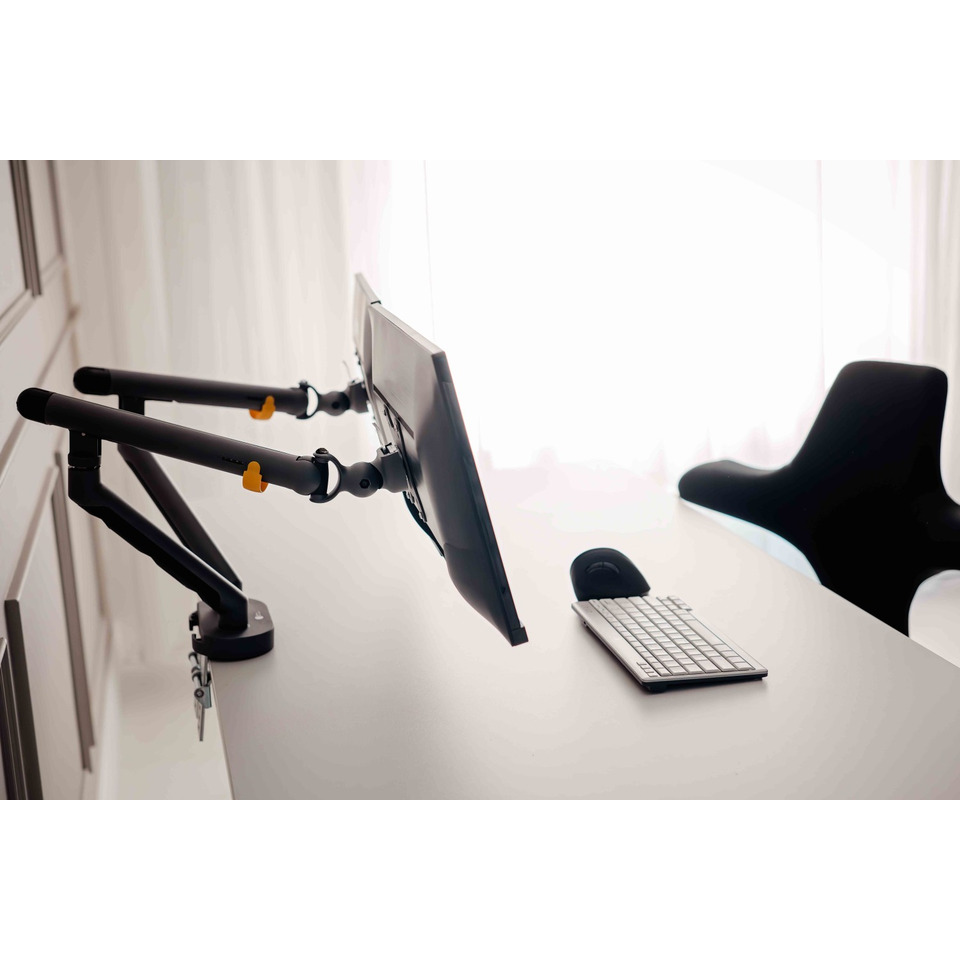 monitor, desk setup, computer stand, dual arm, workspace accessory