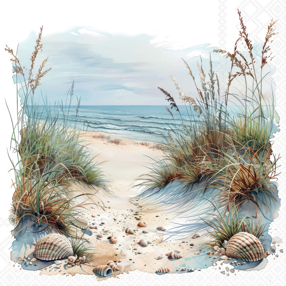 strand, meeresküste, sand, muscheln, gras