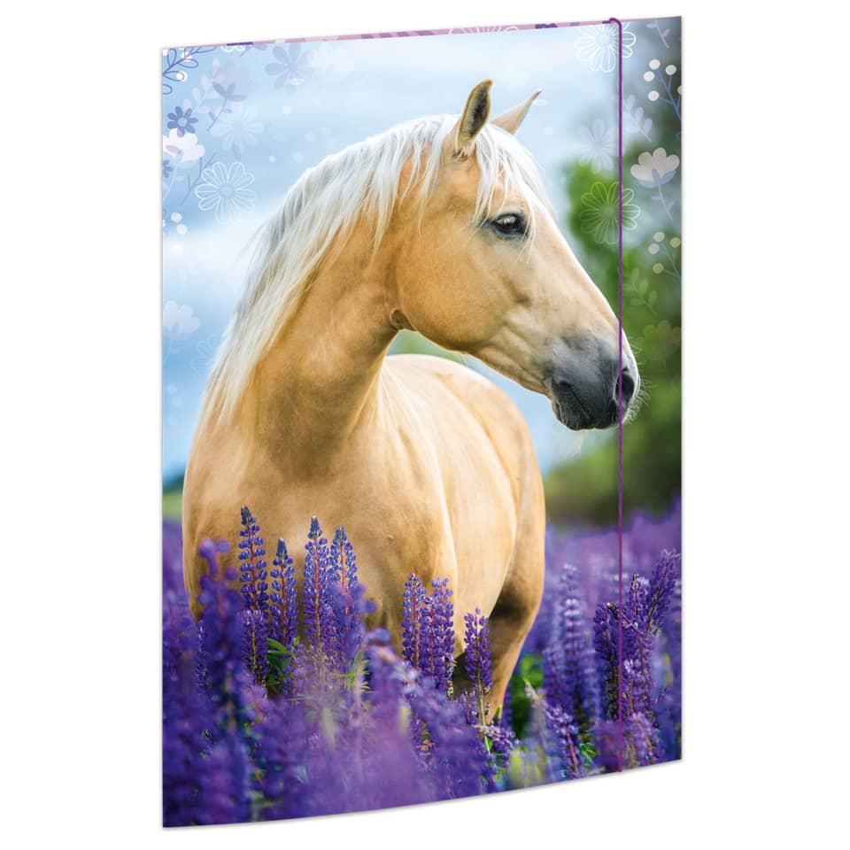Blume, Colt Horse, Pferd, Säugetier, Lupine