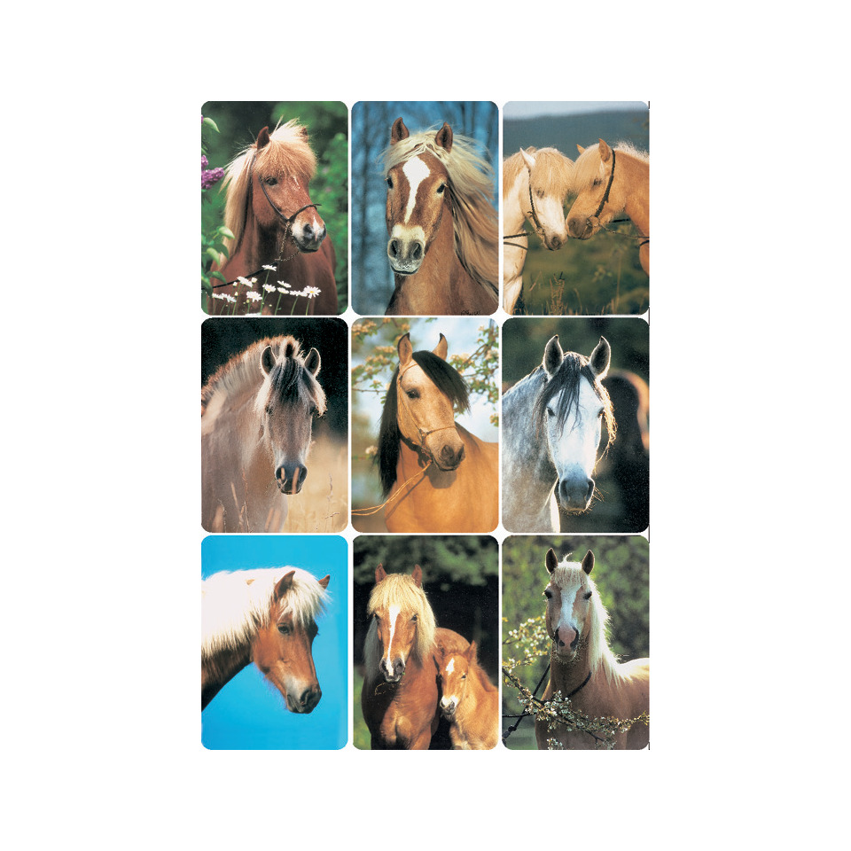 Colt Horse, Pferd, Säugetier, Kunst, Collage