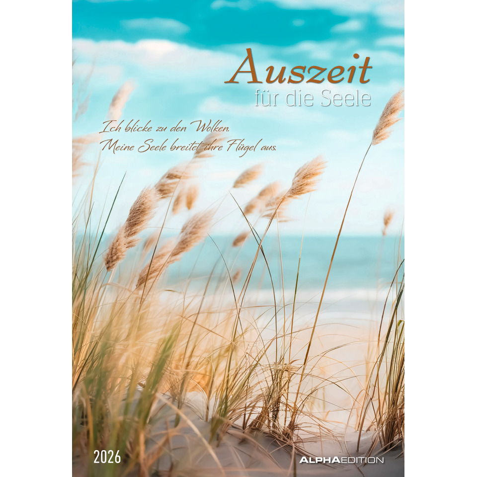 Pflanze, Schilf, Gras