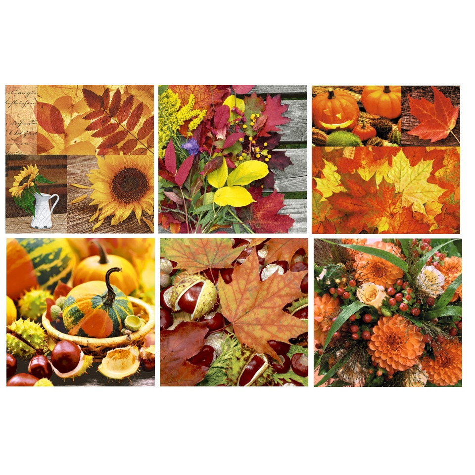Herbstdeko, Herbstblumen, Kürbisse, Blätter, Sommer- bzw Herbstarrangement