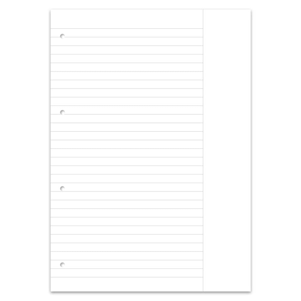 notebook, lined paper, ring binder, white, sheet