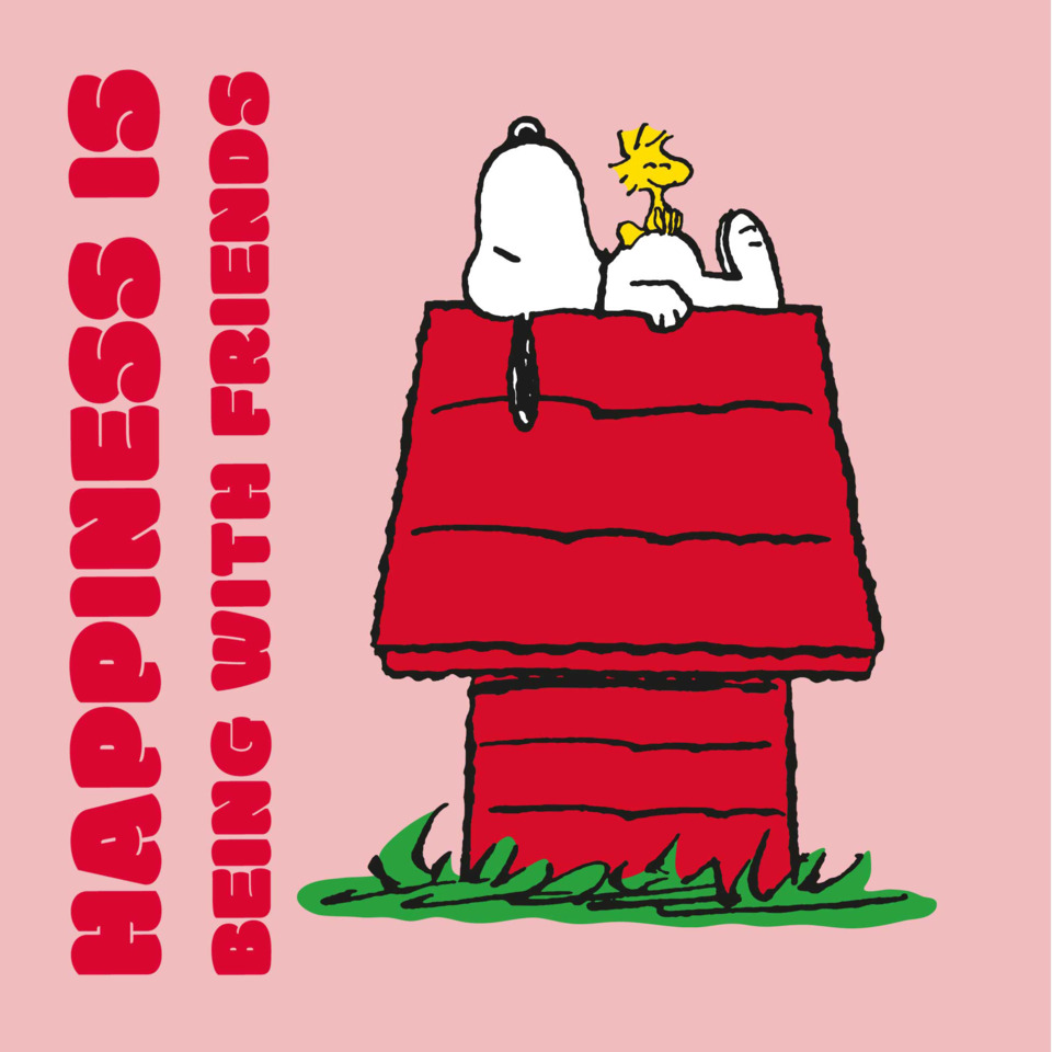 Erdnuss, Snoopy, Comic, Hundehütte, Peanuts Plakat