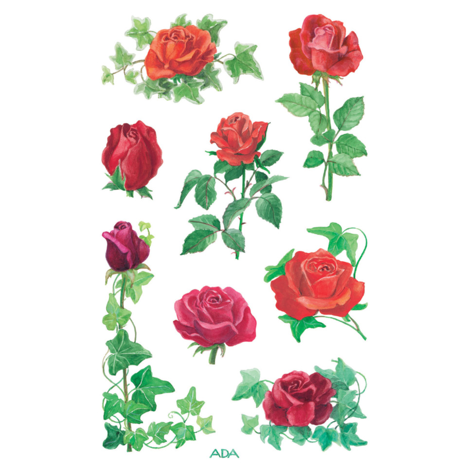 rose, rote rose, rosenstiel, roseknospe, Efeulaub