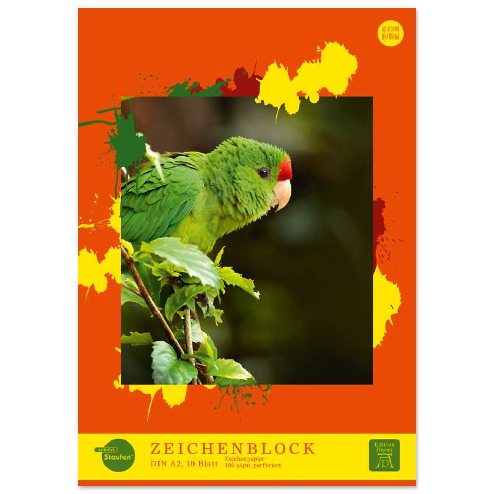 papageienbild, grüner papagei, orange rahmen, grüne blätter, druckpapier