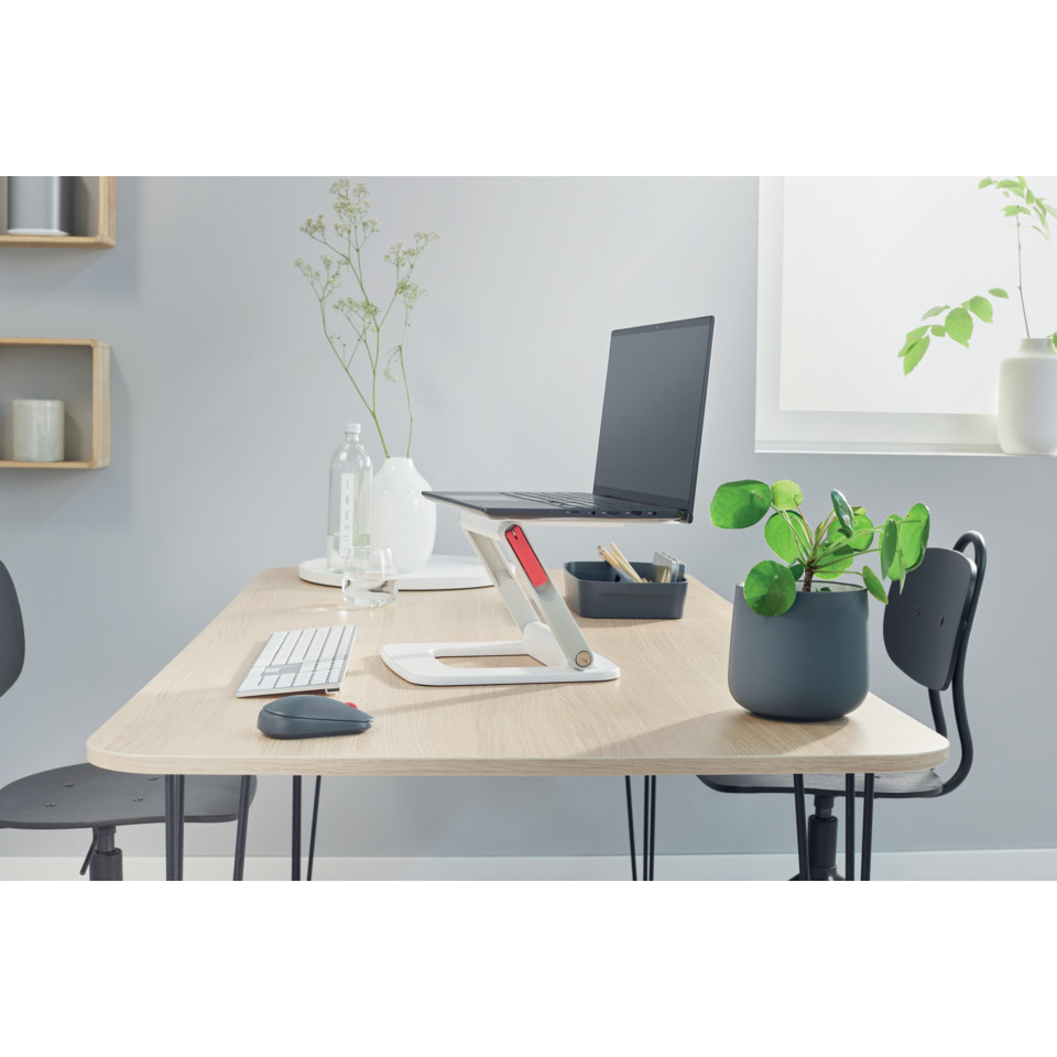 Schreibtisch, Laptophalter, Homeoffice, Pflanze, Monitorhalterung