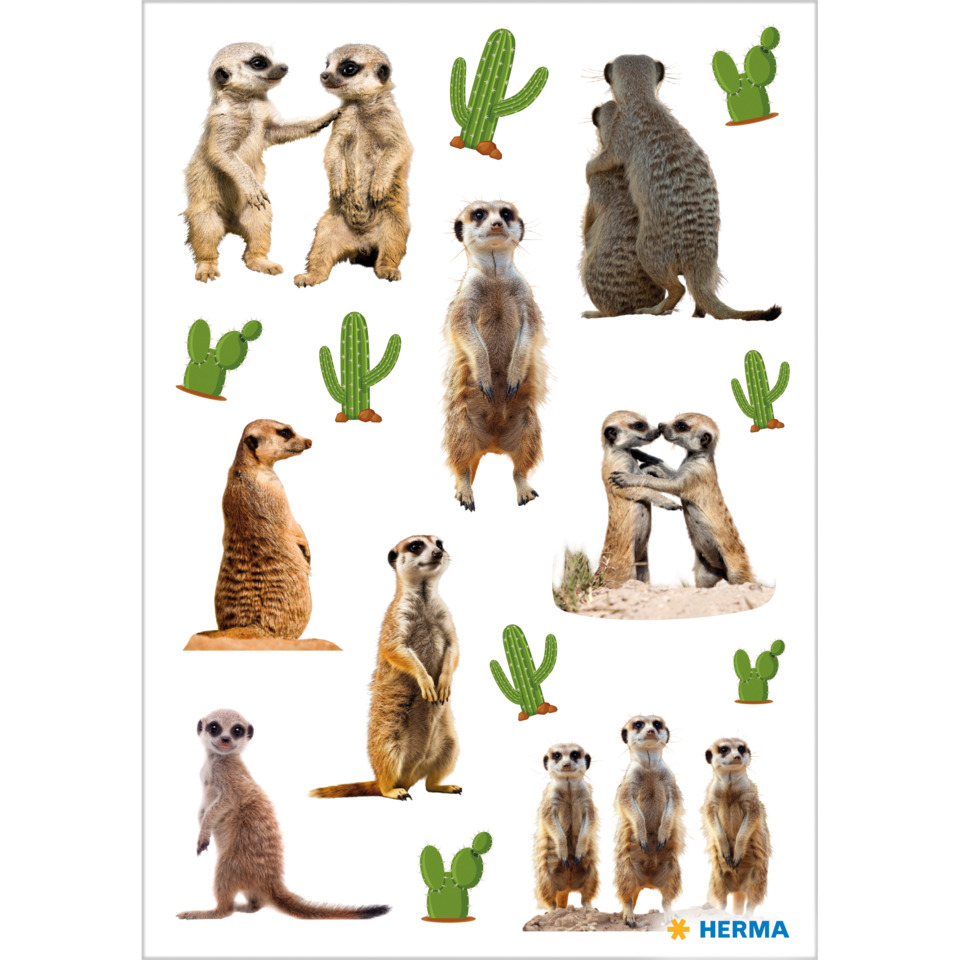Meerkat, Kaktus, Wüstenfelsen, Tierstickers, Herma