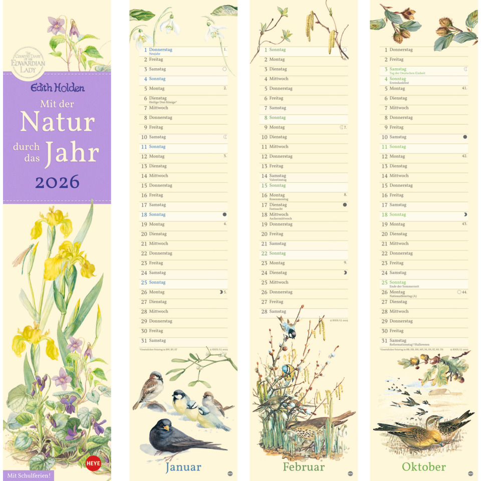 kalender, januar, januar, flora, vögel