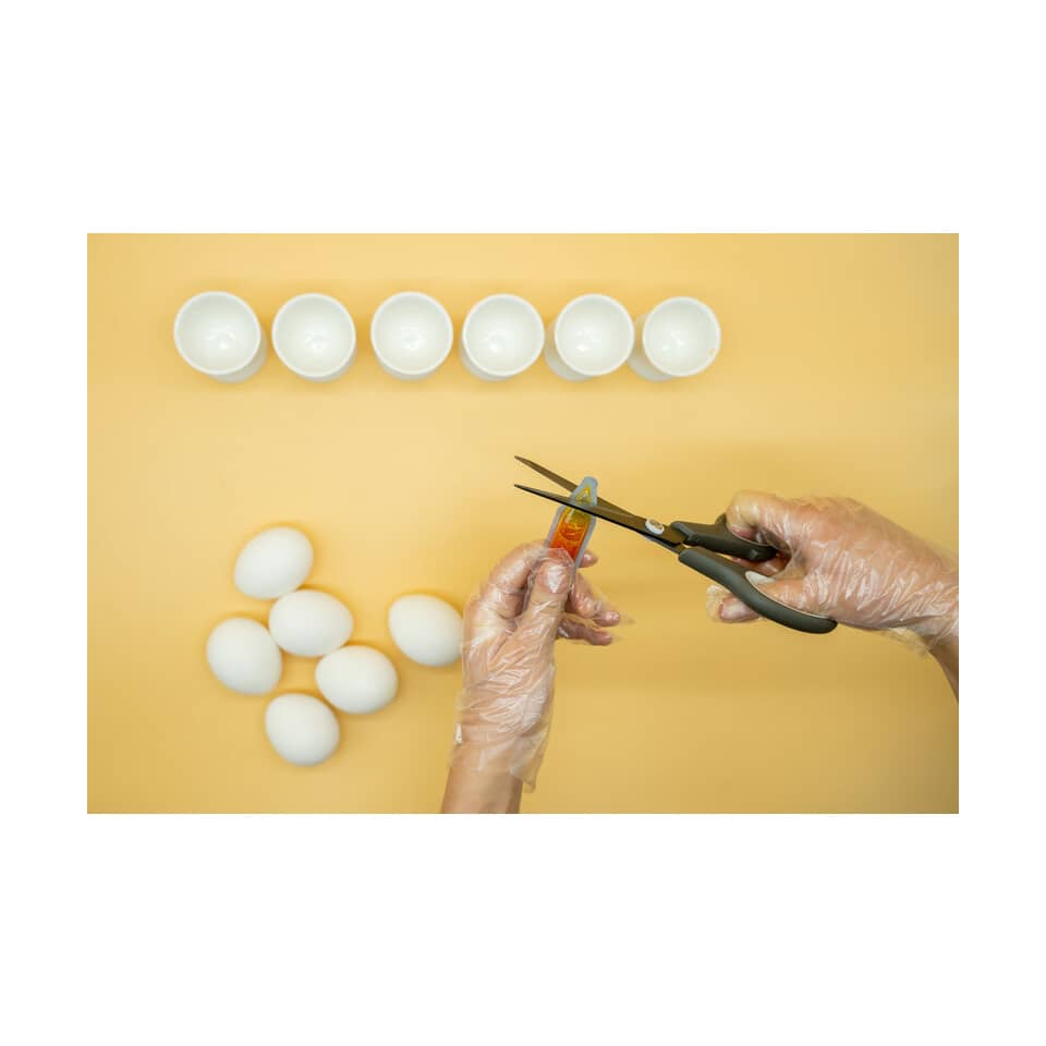 Eier, Schale, Schneidewerkzeug, Scheren, Arbeitsvorkehrung