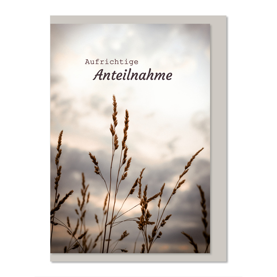 Schriftzug, Anteilnahme, Gerstenähnliche Pflanze, Gräser, Grußkarte